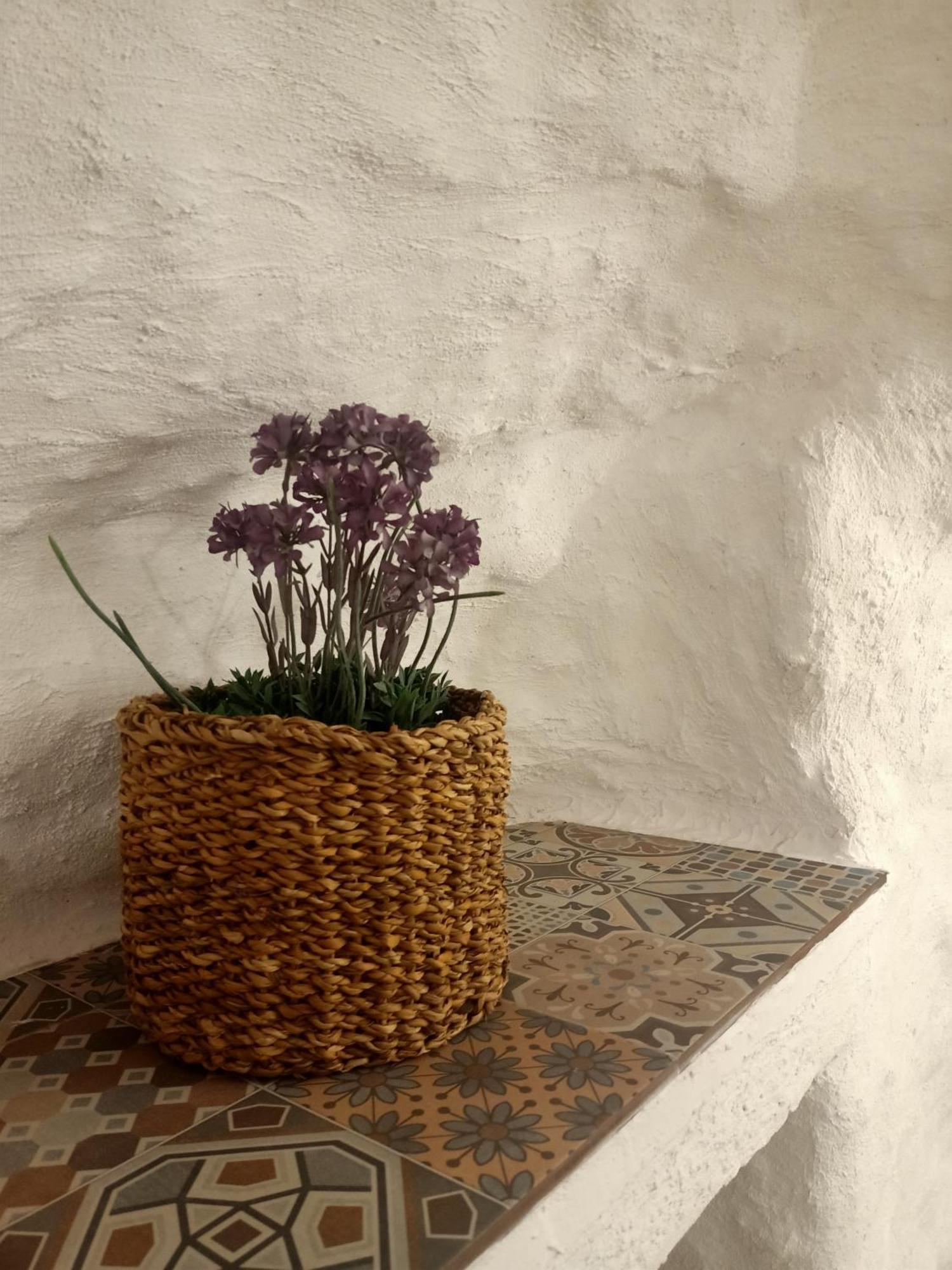 Casa Cueva La Parra. Villa Terque ภายนอก รูปภาพ
